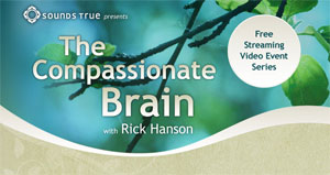 The Compassionate Brain