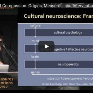 Science of Compassion 2012 - The Center for Compassion and Altruism ...